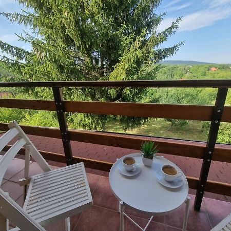 Hoopovo House Fruska Gora Villa Ürög Kültér fotó