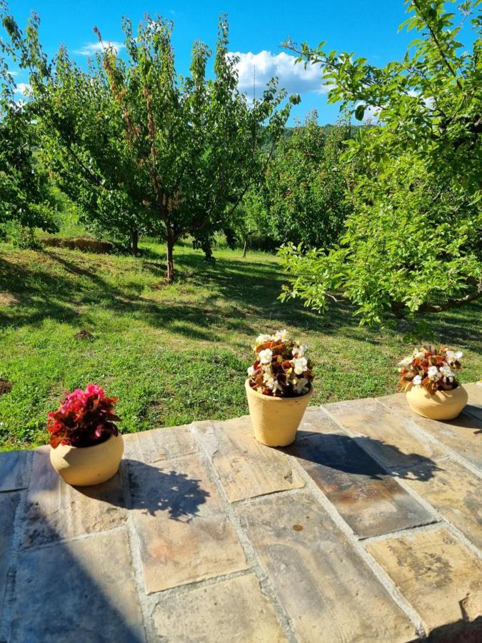 Hoopovo House Fruska Gora Villa Ürög Kültér fotó