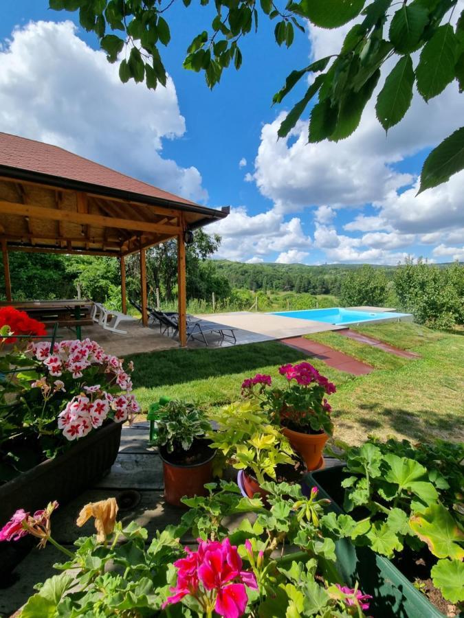Hoopovo House Fruska Gora Villa Ürög Kültér fotó